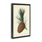 Stupell Industries Detailed Pine Cone Sprig Floater Framed Canvas Wall Art Design by Tina Higgins Designs, Inc.